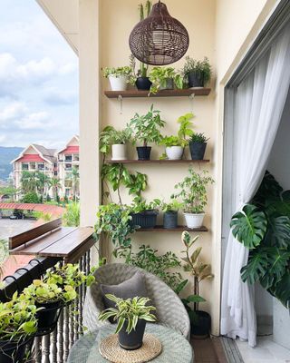 Transform Your Small Balcony with Vertical Garden Solutions for all apartment/ small room balconies